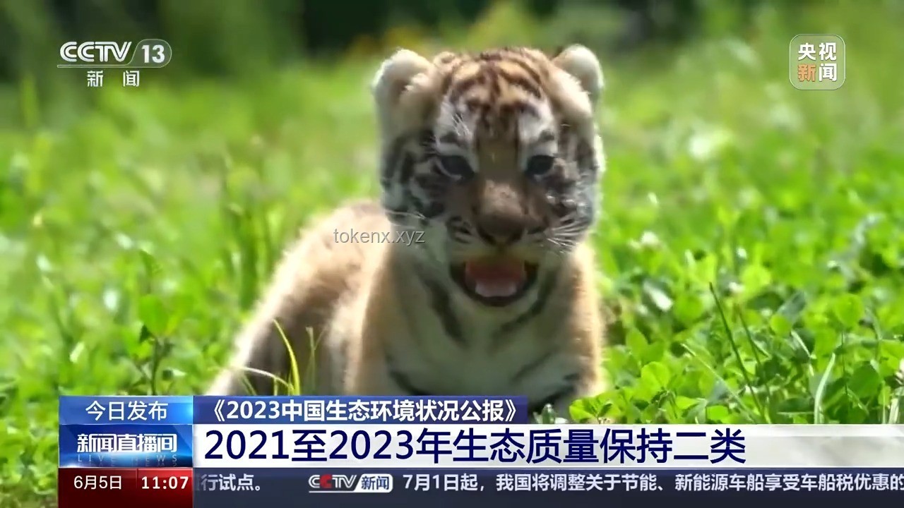 为什么被老虎捕食的生物未进化出三色视觉以提升逃脱率？解决方案探讨